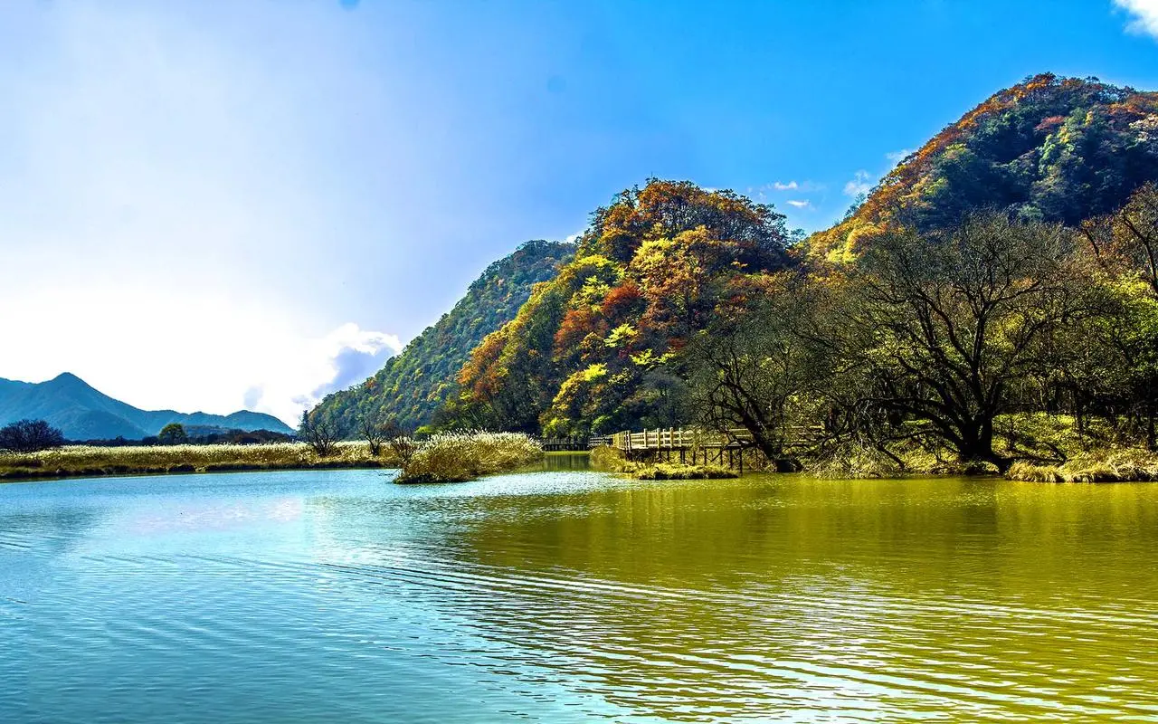 智能环保